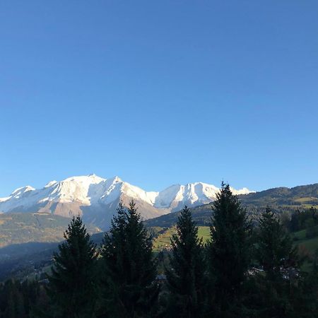 Large Apt 80M Superb View Mont-Blanc 6P Appartement Combloux Buitenkant foto